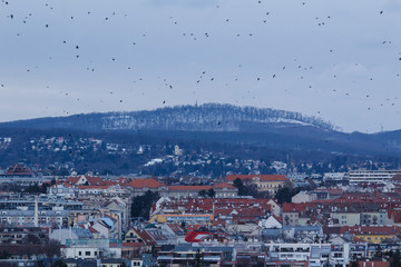 Vienna, Austria. Winter. Panorama of the city from the Sch&ouml;nbrunn Palace