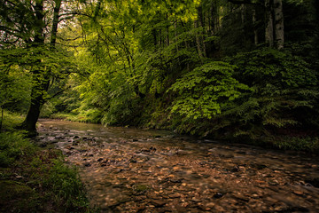 Obraz premium river in the north of navarra
