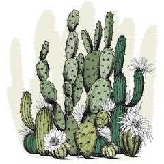Vierkante kaart met groene cactusplanten en bloemen. Hand getekende vector op witte achtergrond.