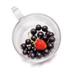 Black and red currant in a transparent glass cup on a white isolated background_