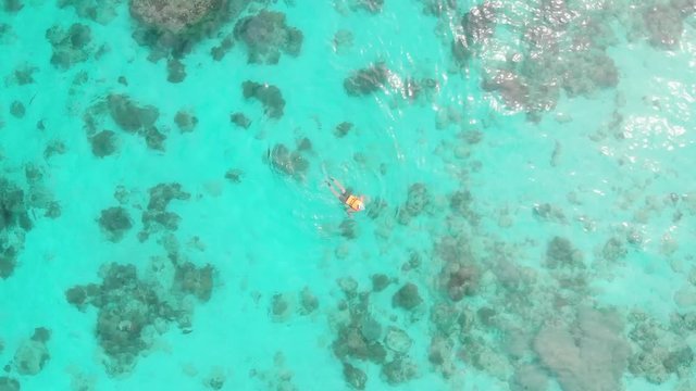 Aerial footage of coral reef in Philippines. Man is snorkeling. Turquoise water, stunning view, snorkeling, swimming / 4K Drone Video