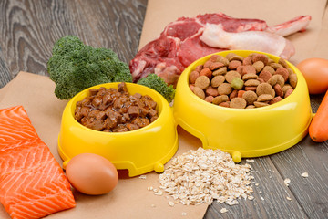 Raw and store-bought pet food