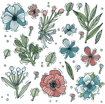 Colored hand drawn herb and flower set. Engraved style flowers. Vector illustration.