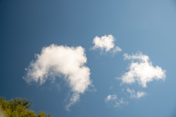 Vegetation against beautiful blue sky with clouds