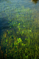 Klare Wasseroberfläche