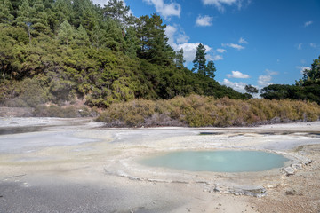 Wai-O-Tapu National Park, New Zealand