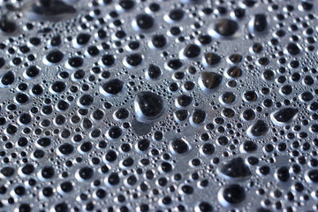 The process of condensation of water vapor in the greenhouse.