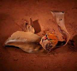 Schokoladenmanufaktur