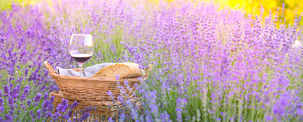 Wine against lavender landscape in sunset rays. Harvesting of aromatic lavender. A basket filled...
