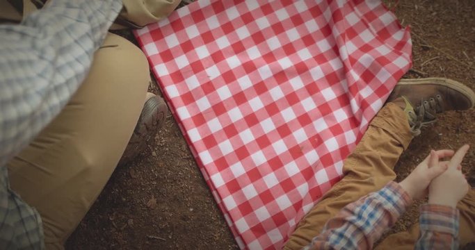 Father lays out picnic with young son