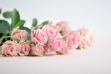 A bouquet of spray roses on a light background. Free space to place text. The concept of holiday greetings.