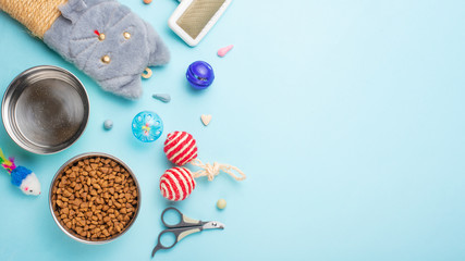 Pets and cute animals, pets, cute cats, food and accessories for cat's life, Flat lay, space for a dresser, on a blue background. Zoomarket, pet shop