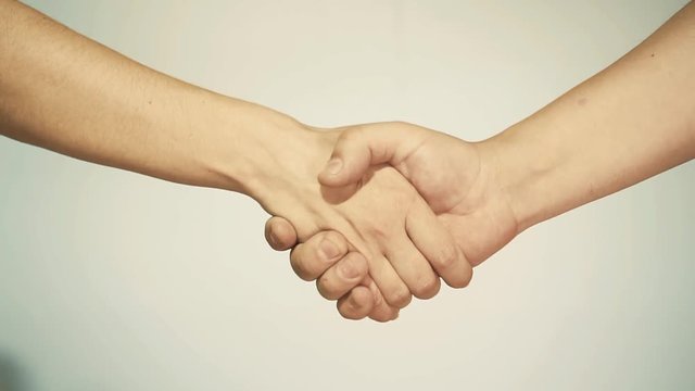 female and male handshake. truce