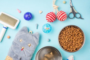 Pets and cute animals, pets, cute cats, food and accessories for cat's life, Flat lay