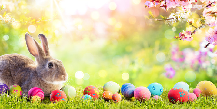 Happy Easter Bunny Images – Browse 415,831 Stock Photos, Vectors, and Video  | Adobe Stock