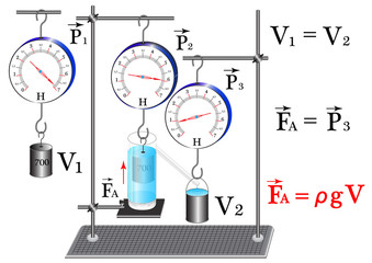 A physical experiment to study the strength of Archimedes, using the instruments of physics, and the pushing force is equal to the weight of the fluid of a given volume.