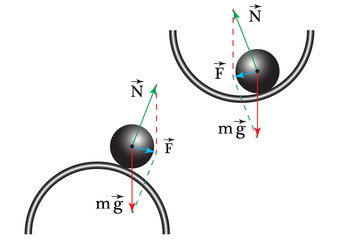 Physical experiment on the study of the equilibrium condition of bodies, stable, indifferent, unstable, indicating the direction of forces that act on the body.