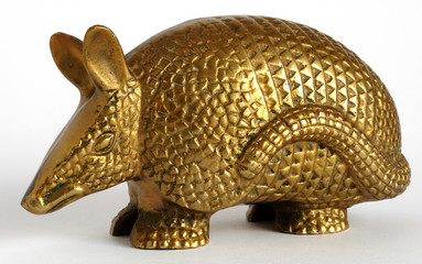 Golden armadillo