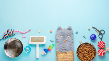 Zoomarket and pet store.Catty background, with cat accessories on a blue background.Banner, Flat lay