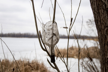 broken old bottle hanging on a tree branch