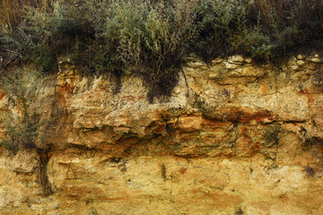 soil texture on a cliff with plants