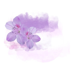 Watercolor background with flower illustration