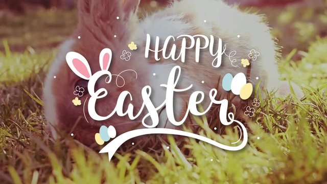 Easter white bunny with easter eggs sitting in the grass