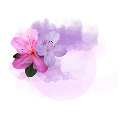 Watercolor background with flower illustration