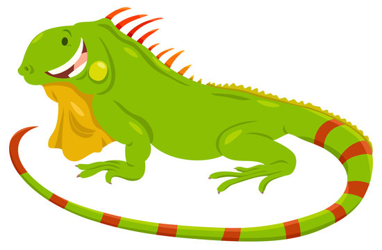 cartoon green iguana animal character