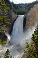 Yellowstone - Canyon Waterfall
