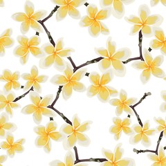 Seamless pattern with yellow flowers. Floral décor of plumeria branch. Elegant tropical floral print for fabric design, woman dress, background, wrapping paper, cover. White background.