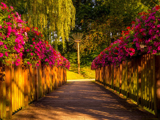 Fototapeta na wymiar Brücke mit Blumen geschmückt im Sonnenlicht