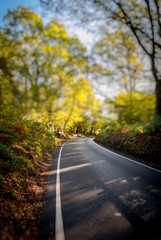 Road on a Country Lane, Essex, Britain - Oct 2011