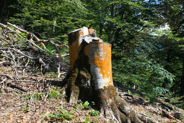 human relation to nature