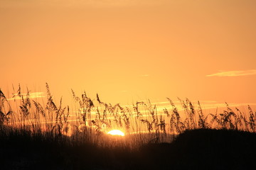 Sunset at Beach