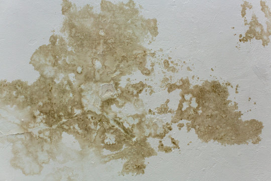 brown spots on the ceiling