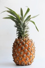 Yellow pineapple is on a white background there is a place for an inscription