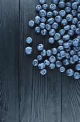 food photography background blueberry 