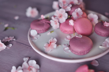 Obraz na płótnie Canvas food photography pink cakes macarons 