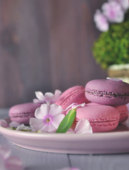 pink cakes and pink flowers art food photography