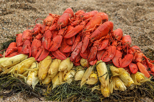 Traditional New England Lobster Bake