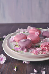 pink cakes and pink flowers art food photography