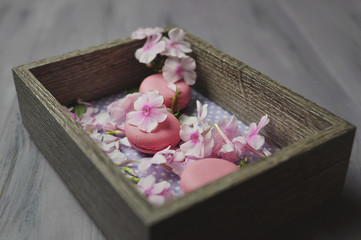 pink cakes and pink flowers art food photography