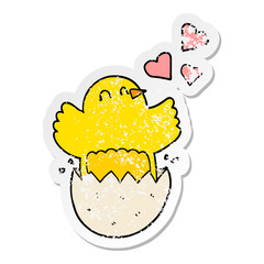 distressed sticker of a cute hatching chick cartoon