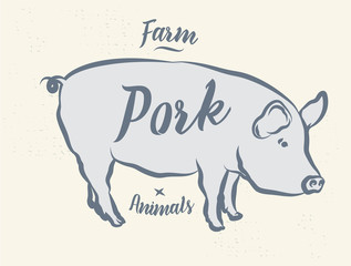 Pig, pork. Vintage logo, retro print, poster for Butchery meat shop, pig silhouette. Logo template for meat business, meat shop. Isolated black silhouette pig on white background. Vector Illustration