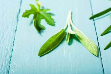 leaf collection on blue painted wooden table background