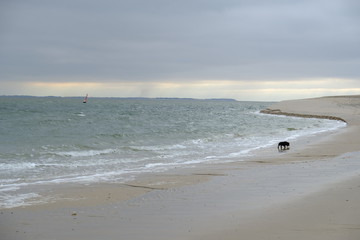 sylt coastline