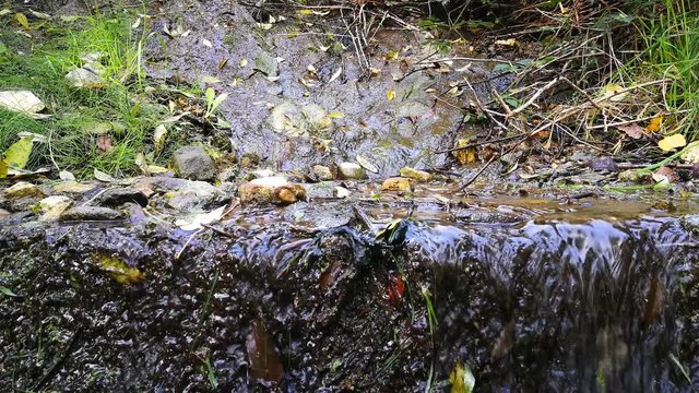 acqua che scorre su pietre con piante con suono rilassante