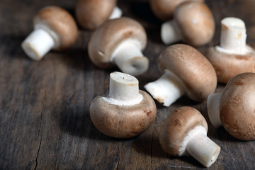 Mushrooms on a kitchen table