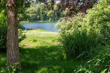 Beautiful park landscape. In the depths of the park on the shore of the lake you can see the silhouette of a man who works on a computer (reads, draws)